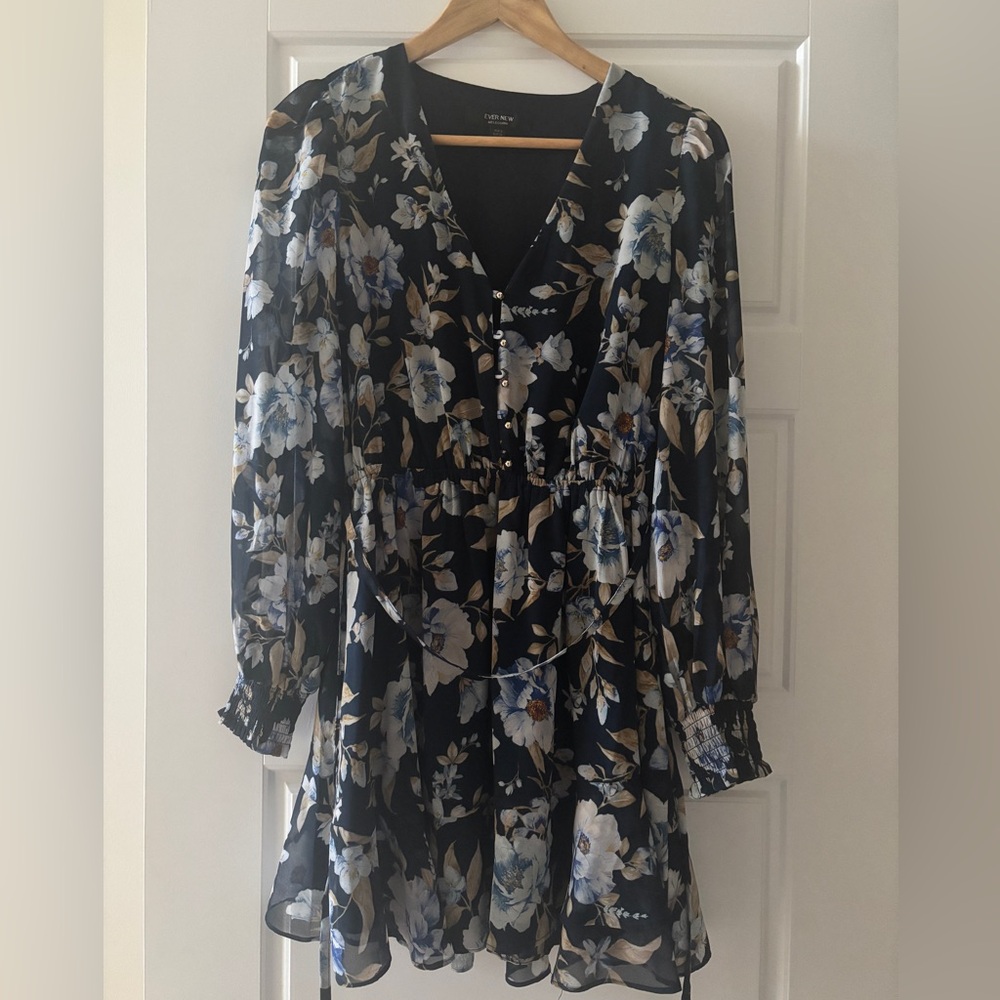 Ever New Black Floral Mini Dress with Blue & Cream Blooms